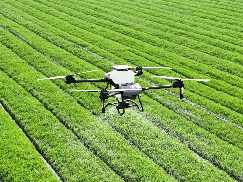 Contenido Agrícola de Valor Contenido Agrícola de Valor
