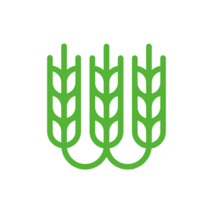 Logo de Trigo - Diseño de logo agropecuario Logo de Trigo - Diseño de logo agropecuario