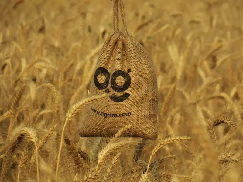 Marketing Agropecuario