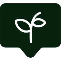 Educación y Contenido de Valor Educación y Contenido de Valor