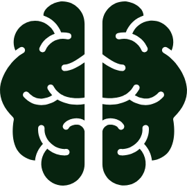 Cerebro Cerebro